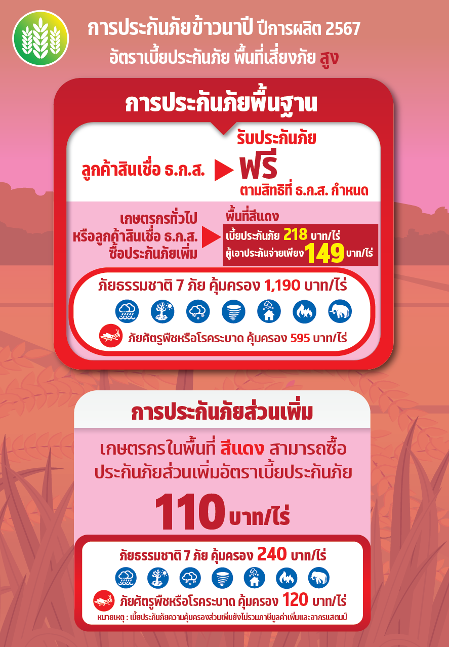 4หลัง 6 ประกันภัยข้าวนาปี 2567 0