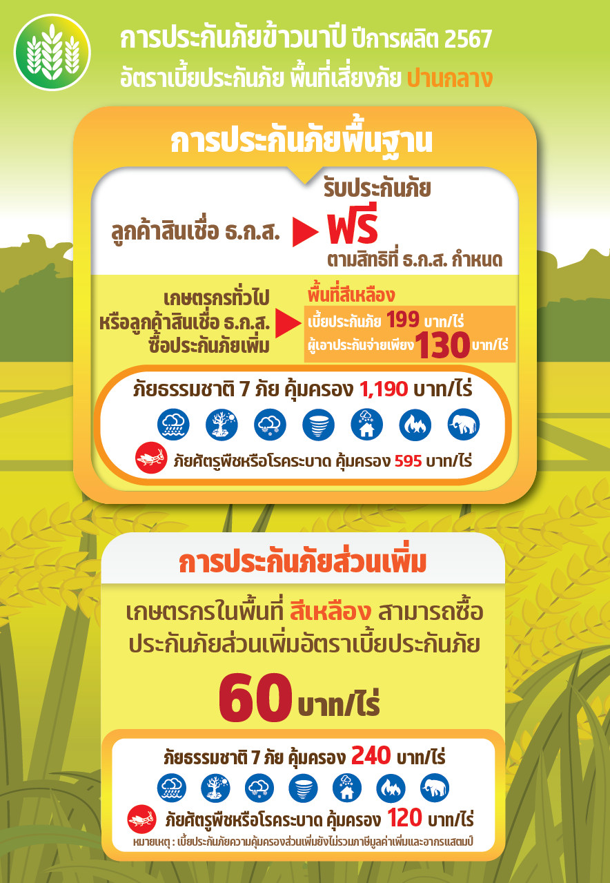 5หลัง 6 ประกันภัยข้าวนาปี 2567 0