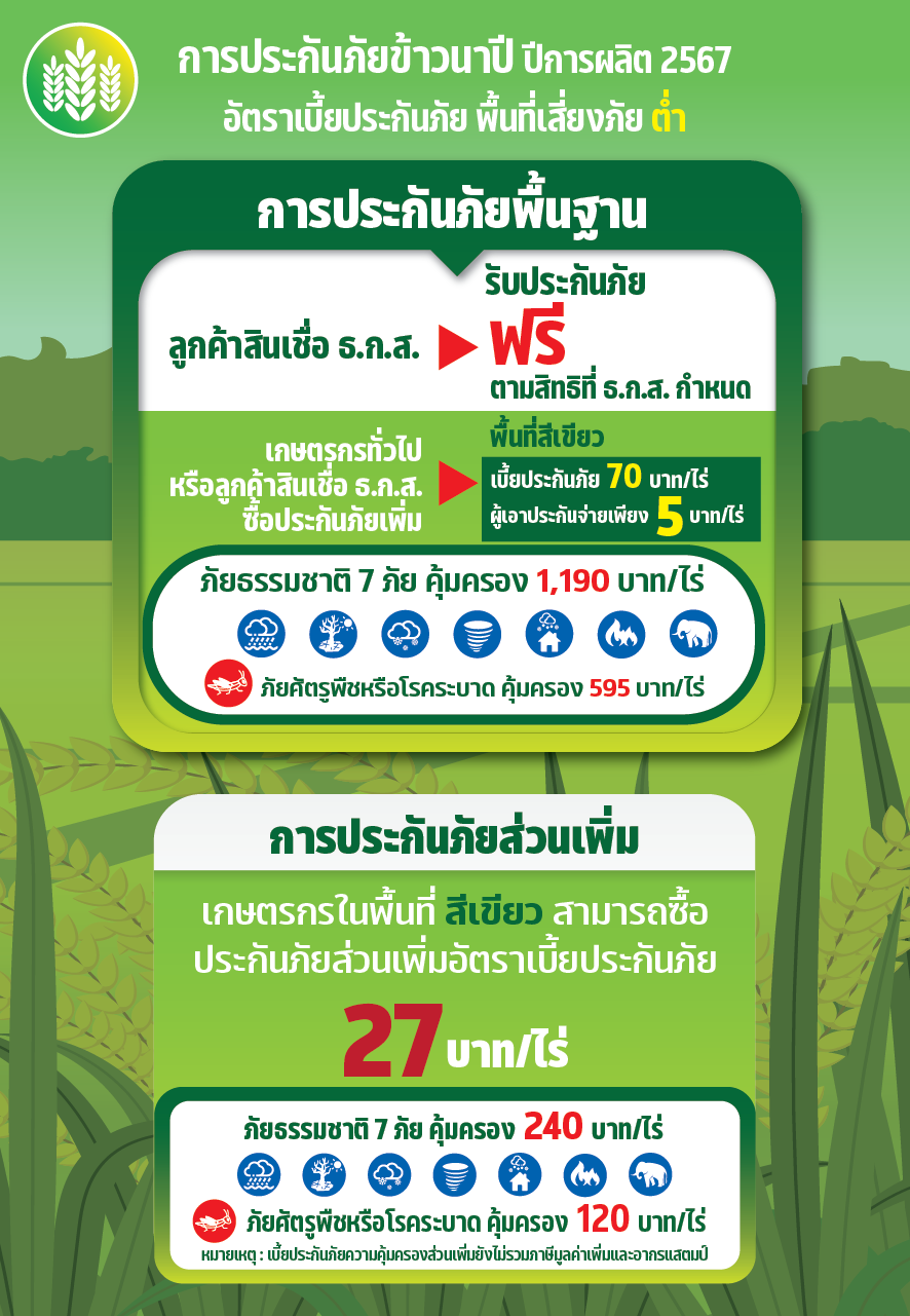 6หลัง 6 ประกันภัยข้าวนาปี 2567 0