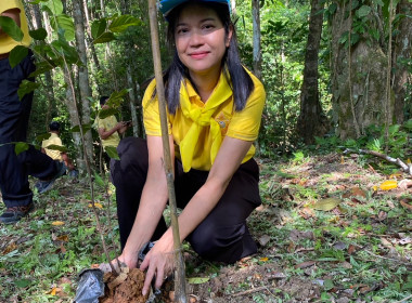 ร่วมกิจกรรมจิตอาสาเนื่องในวันคล้ายวันพระบรมราชสมภพพระบาทสมเด็จพระบรมชนกาธิเบศร มหาภูมิพลอดุลยเดชมหาราช บรมนาถบพิตร วันชาติ และวันพ่อแห่งชาติ 𝟓 ธันวาคม 𝟐𝟓𝟔𝟕 ... พารามิเตอร์รูปภาพ 8