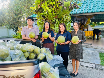 กระจายส้มโอขาวใหญ่ของสหกรณ์การเกษตรบางคนที จำกัด พารามิเตอร์รูปภาพ 1