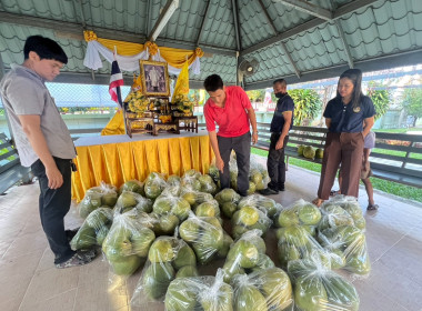 กระจายส้มโอขาวใหญ่ของสหกรณ์การเกษตรบางคนที จำกัด พารามิเตอร์รูปภาพ 9