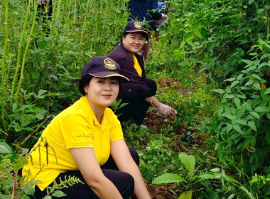 กิจกรรมวันรักต้นไม้ประจำปีของชาติ พ.ศ. 2568 พารามิเตอร์รูปภาพ 3
