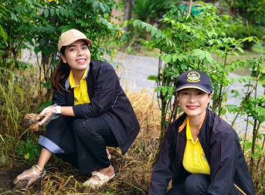 กิจกรรมวันรักต้นไม้ประจำปีของชาติ พ.ศ. 2568 พารามิเตอร์รูปภาพ 4