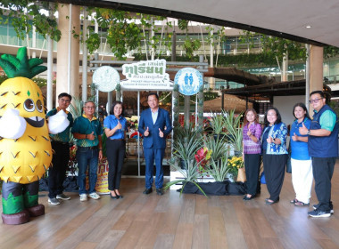 “เสน่ห์ทุเรียน &amp; สับปะรดภูเก็ต” สินค้า GI ... พารามิเตอร์รูปภาพ 3