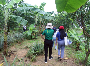 เข้าร่วมโครงการดำเนินธุรกิจตามหลักปรัชญาของเศรษฐกิจพอเพียง พารามิเตอร์รูปภาพ 9