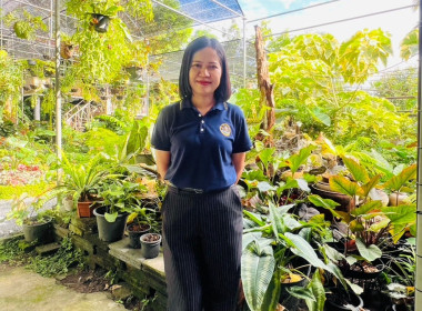 โครงการส่งเสริมและพัฒนาเพื่อสร้างมูลค่าเพิ่มให้กับผลิตภัณฑ์ชุมชน ... พารามิเตอร์รูปภาพ 2