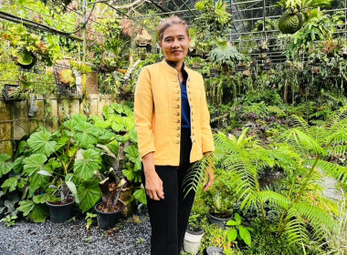 โครงการส่งเสริมและพัฒนาเพื่อสร้างมูลค่าเพิ่มให้กับผลิตภัณฑ์ชุมชน ... พารามิเตอร์รูปภาพ 1