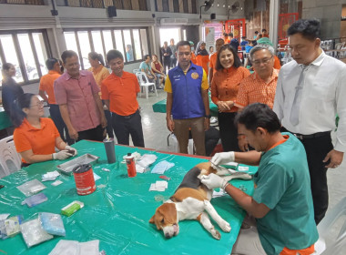 โครงการปศุสัตว์ร่วมใจกำจัดภัยโรคพิษสุนัขบ้า ... พารามิเตอร์รูปภาพ 8