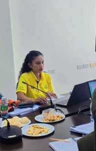 การรายงานข้อมูลทางการเงิน (MIS) ... พารามิเตอร์รูปภาพ 1