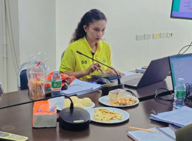 การรายงานข้อมูลทางการเงิน (MIS) ... พารามิเตอร์รูปภาพ 2