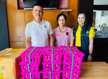 กระจายลำไย (พันธุ์อีดอ) จากสหกรณ์การเกษตรประตูป่า จำกัด ... พารามิเตอร์รูปภาพ 10