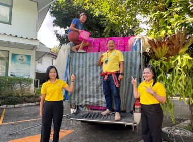 กระจายลำไย (พันธุ์อีดอ) จากสหกรณ์การเกษตรประตูป่า จำกัด ... พารามิเตอร์รูปภาพ 20