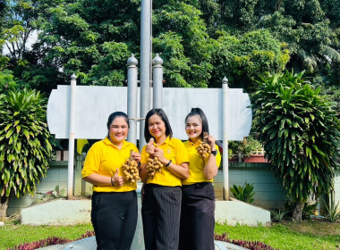 กระจายลำไย (พันธุ์อีดอ) จากสหกรณ์การเกษตรประตูป่า จำกัด ... พารามิเตอร์รูปภาพ 24