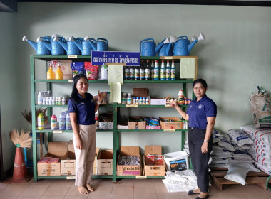 เข้าแนะนำ ส่งเสริม ... พารามิเตอร์รูปภาพ 1