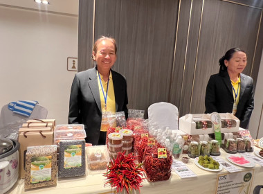 โครงการส่งเสริมการสร้างมูลค่าเพิ่มและการแปรรูปสินค้าเกษตรให้ได้มาตรฐาน.กิจกรรมส่งเสริมการแปรรูปข้าวเพื่อเพิ่มมูลค่า ... พารามิเตอร์รูปภาพ 13