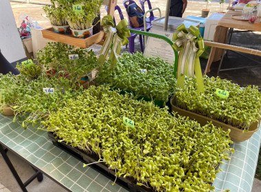 โครงการคลินิกเกษตรเคลื่อนที่ฯ ครั้งที่ 1/2568 พารามิเตอร์รูปภาพ 9