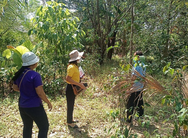 ลงพื้นที่ตรวจเยี่ยมการทำเกษตรแบบแปลงใหญ่ ตำบลฉลอง ... พารามิเตอร์รูปภาพ 2