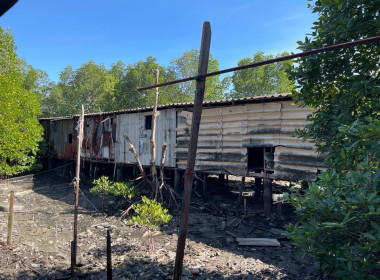 ร่วมบูรณาการลงพื้นที่กับศูนย์บริหารจัดการทรัพยากรป่าชายเลนจังหวัดภูเก็ต ... พารามิเตอร์รูปภาพ 4