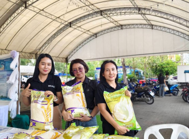 งานประจำปีของดีภูเก็ต 2569 พารามิเตอร์รูปภาพ 3