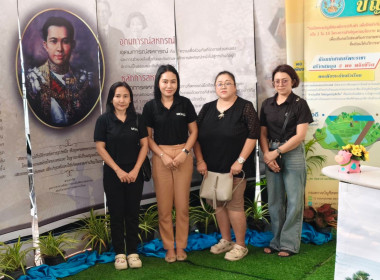 งานประจำปีของดีภูเก็ต 2569 พารามิเตอร์รูปภาพ 5