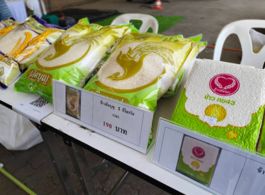 งานประจำปีของดีภูเก็ต 2569 พารามิเตอร์รูปภาพ 6