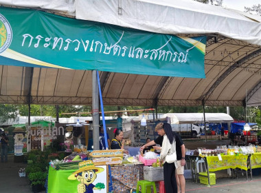 งานประจำปีของดีภูเก็ต 2569 พารามิเตอร์รูปภาพ 8