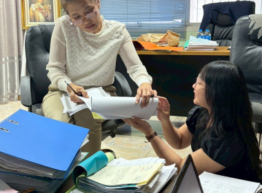 เข้าตรวจสอบกิจการและฐานะการเงินของ ... พารามิเตอร์รูปภาพ 3