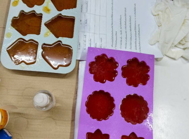 โครงการขับเคลื่อนการประยุกต์ใช้ปรัชญาเศรษฐกิจพอเพียงฯ ... พารามิเตอร์รูปภาพ 4