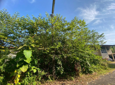 โครงการ “หนึ่งความดี ล้านความรัก ภูมิใจภักดิ์ พระพันปีหลวง” พารามิเตอร์รูปภาพ 38