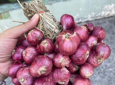 ประสานงานการจัดโครงการ Big Cleaning Day ของพื้นที่ คทช. ... พารามิเตอร์รูปภาพ 4