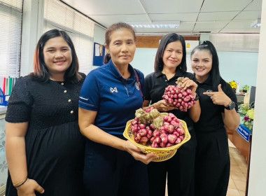 กระจายผลผลิตหอมแดง ของสมาชิกสหกรณ์/เกษตรกรในจังหวัดศรีสะเกษ พารามิเตอร์รูปภาพ 5