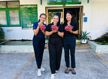กระจายผลผลิตหอมแดง ของสมาชิกสหกรณ์/เกษตรกรในจังหวัดศรีสะเกษ พารามิเตอร์รูปภาพ 13