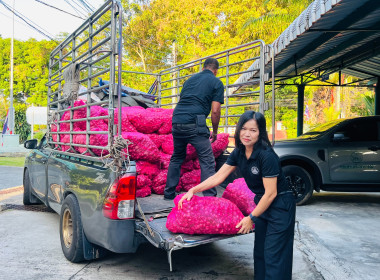 กระจายผลผลิตหอมแดง ของสมาชิกสหกรณ์/เกษตรกรในจังหวัดศรีสะเกษ พารามิเตอร์รูปภาพ 16