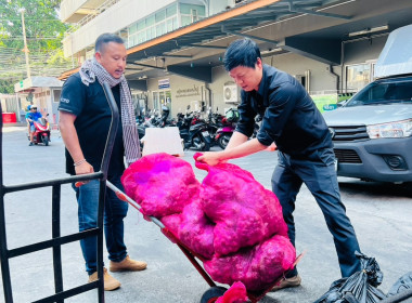 กระจายผลผลิตหอมแดง ของสมาชิกสหกรณ์/เกษตรกรในจังหวัดศรีสะเกษ พารามิเตอร์รูปภาพ 18