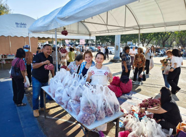 การประชุมใหญ่สามัญประจำปี 2568 สหกรณ์ออมทรัพย์ครูภูเก็ต ... พารามิเตอร์รูปภาพ 4