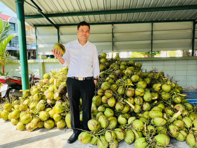 ร่วมกระจายมะพร้าวน้ำหอมจากเกษตรกรจังหวัดสงขลา พารามิเตอร์รูปภาพ 1