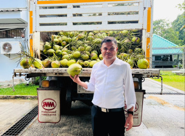 ร่วมกระจายมะพร้าวน้ำหอมจากเกษตรกรจังหวัดสงขลา พารามิเตอร์รูปภาพ 1