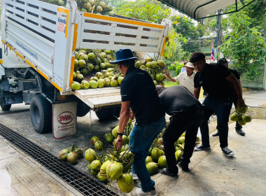 ร่วมกระจายมะพร้าวน้ำหอมจากเกษตรกรจังหวัดสงขลา พารามิเตอร์รูปภาพ 7