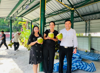 ร่วมกระจายมะพร้าวน้ำหอมจากเกษตรกรจังหวัดสงขลา พารามิเตอร์รูปภาพ 9