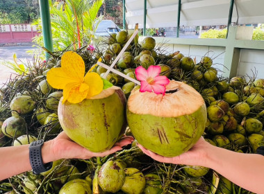 ร่วมกระจายมะพร้าวน้ำหอมจากเกษตรกรจังหวัดสงขลา พารามิเตอร์รูปภาพ 12