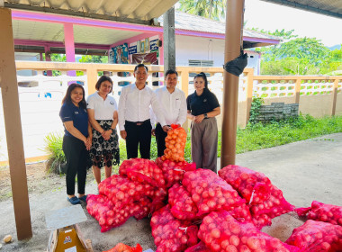 ร่วมกระจายหอม (หัว) ใหญ่จากจังหวัดเชียงใหม่ พารามิเตอร์รูปภาพ 1