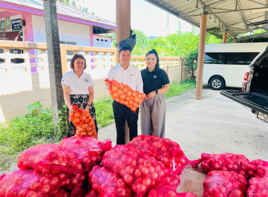 ร่วมกระจายหอม (หัว) ใหญ่จากจังหวัดเชียงใหม่ พารามิเตอร์รูปภาพ 3