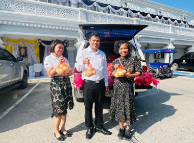 ร่วมกระจายหอม (หัว) ใหญ่จากจังหวัดเชียงใหม่ พารามิเตอร์รูปภาพ 6