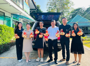 ร่วมกระจายหอม (หัว) ใหญ่จากจังหวัดเชียงใหม่ พารามิเตอร์รูปภาพ 7