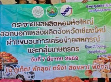 ร่วมกระจายหอม (หัว) ใหญ่จากจังหวัดเชียงใหม่ พารามิเตอร์รูปภาพ 9