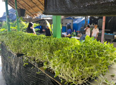 เข้าร่วมโครงการฝึกอบรมและศึกษาดูงานหลักสูตร ... พารามิเตอร์รูปภาพ 1