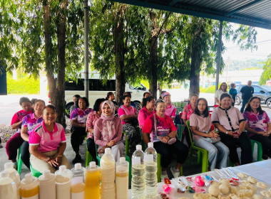 โครงการฝึกอบรม " โครงการส่งเสริมการแปรรูปสินค้าเกษตร ... พารามิเตอร์รูปภาพ 5