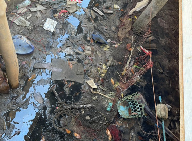 ประสานงานการจัดโครงการ "Big Cleaning Day" ... พารามิเตอร์รูปภาพ 7