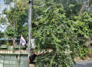 ร่วมกิจกรรมทำความสะอาด Big Cleaning Day (ครั้งที่ 1) พารามิเตอร์รูปภาพ 24